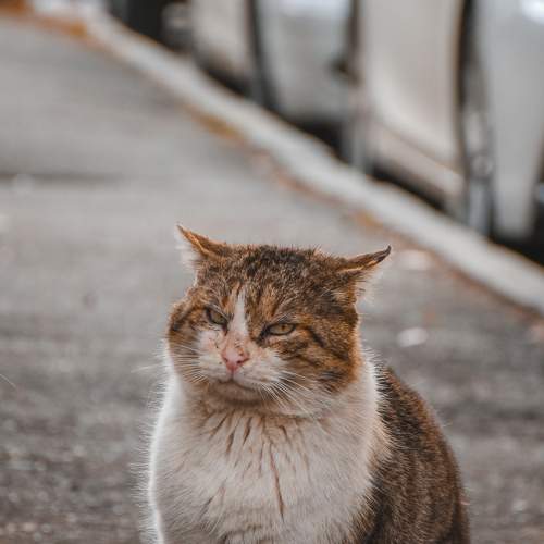 Photo #9181581