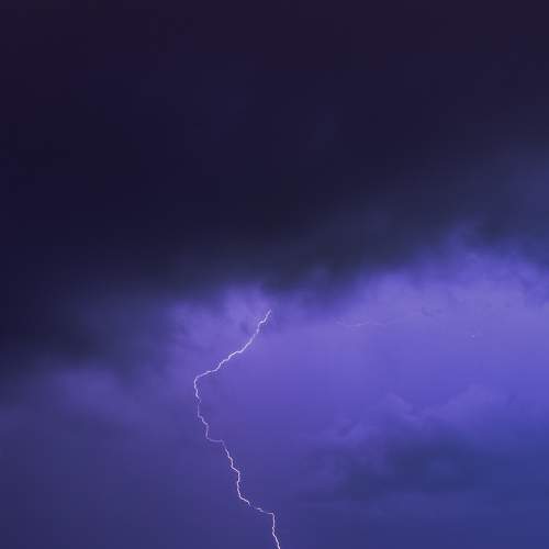 Photo #9181610