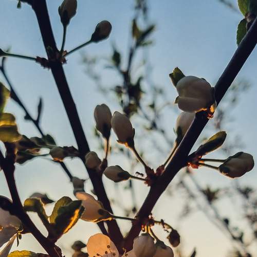 Photo #9181885