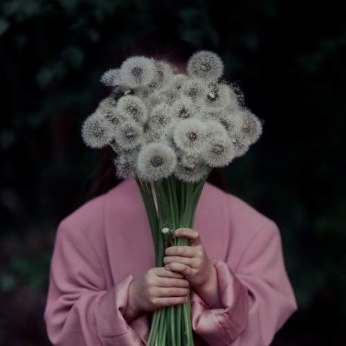 Photo #9182052