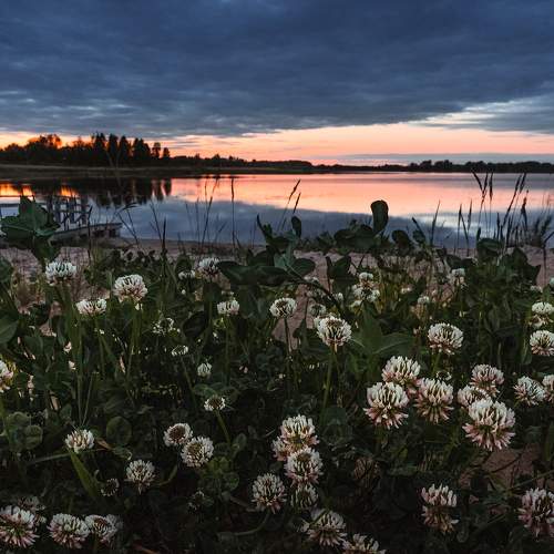 Фотография #9182186