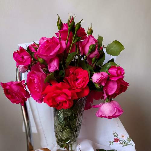 Photo #9182416
