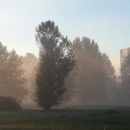 Photo #9182557