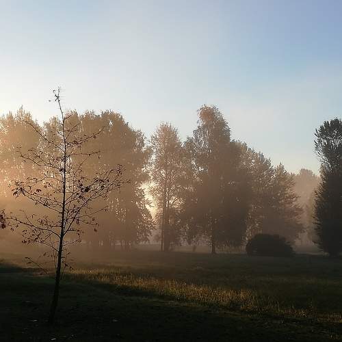 Photo #9182566