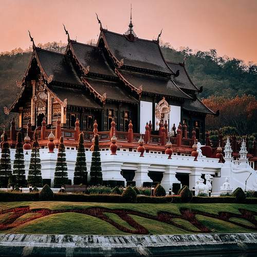 Water lilies on the lake at Wat Phantao