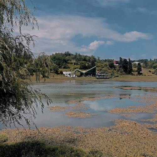 Photo #9183446