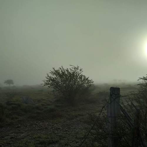 Photo #9183661
