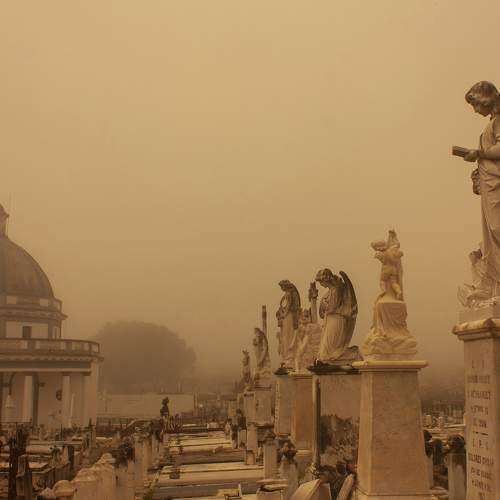 Photo #9184068