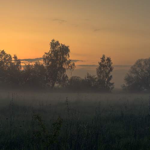 Warm sunset