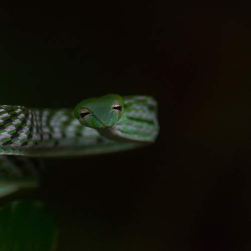 Photo #9184129