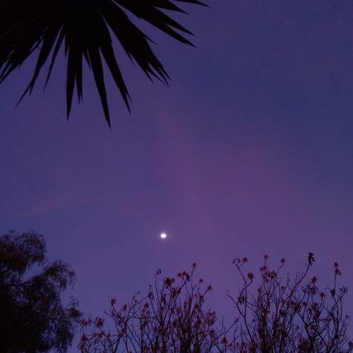 Photo #9184149