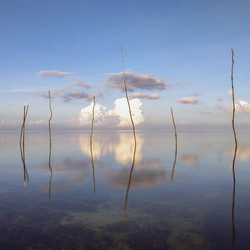 Horizon and sticks