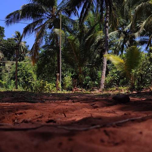 Photo #9184582