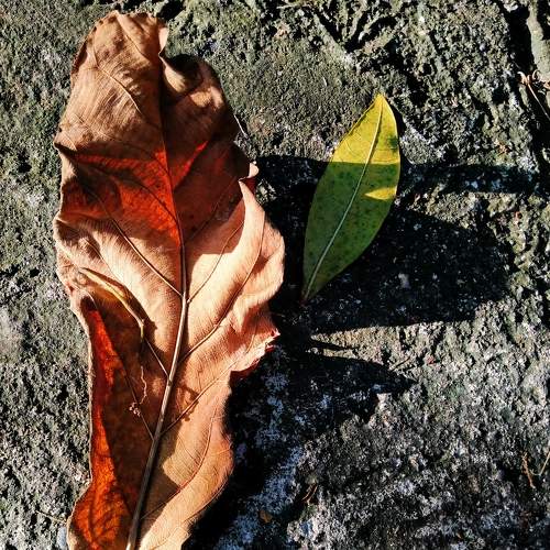 Photo #9185052