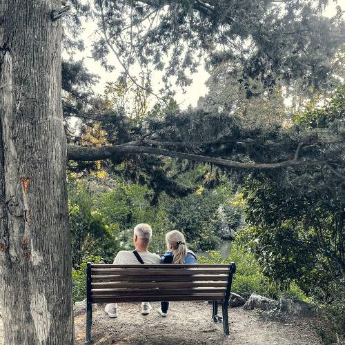 Photo #9185203