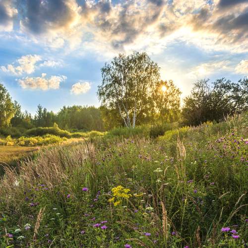 May evening