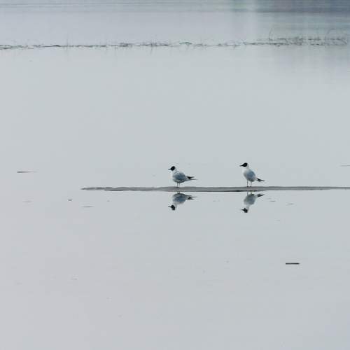 Photo #9185789