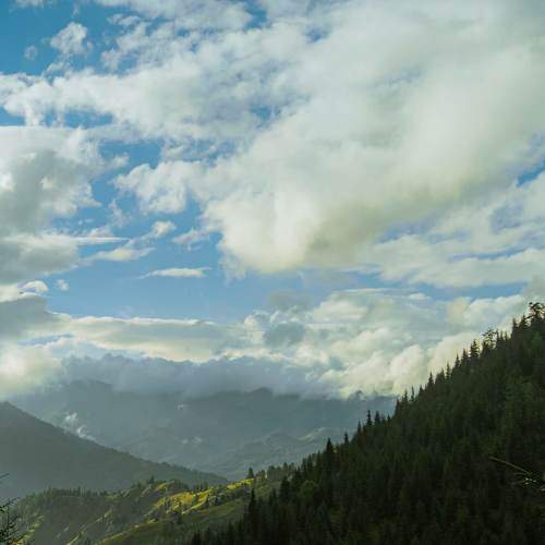 Photo #9186023