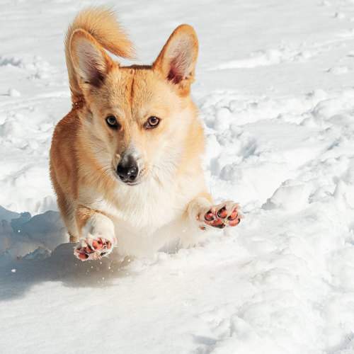 Photo #9186201