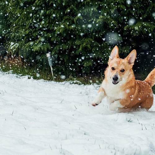 Photo #9186216
