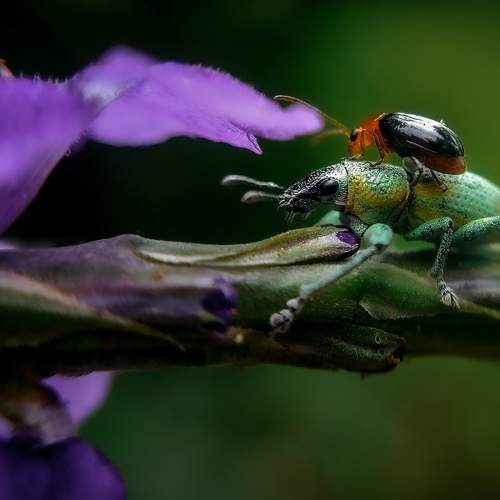 Photo #9186329