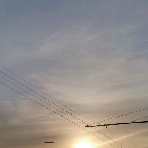 Photo #9186993