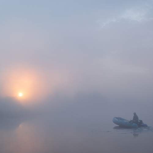 Photo #9187230