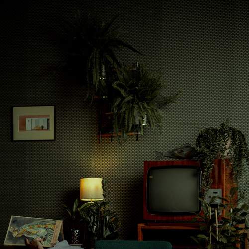 Photo #9187417