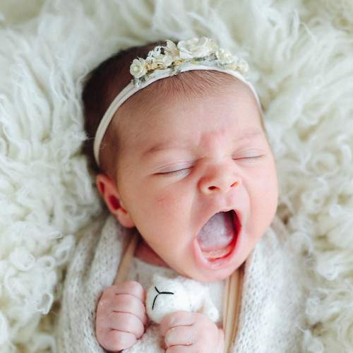 Фотография #9187747