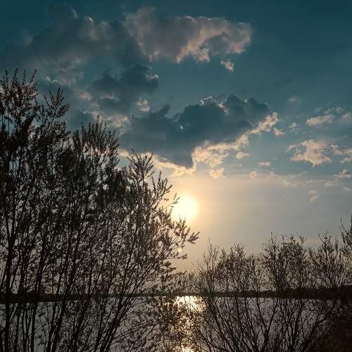 Photo #9187923
