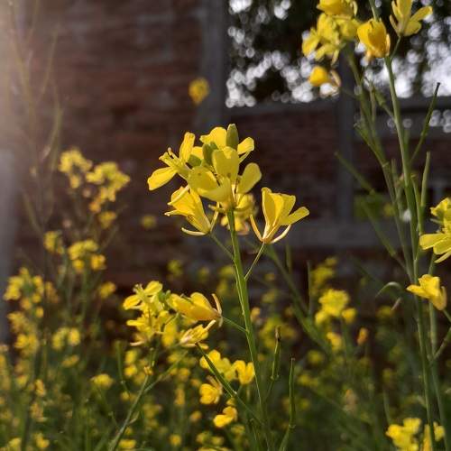 Photo #9188032