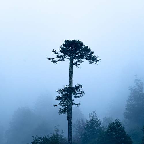 Photo #9188051