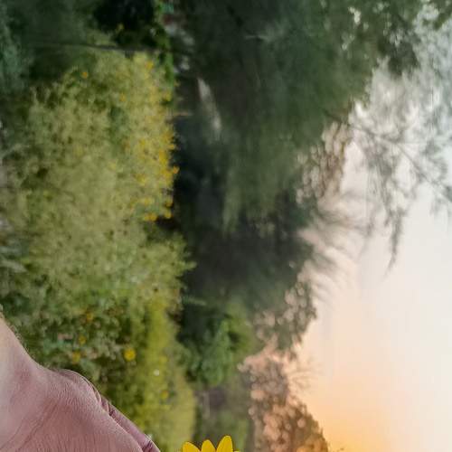 Фотография #9188075