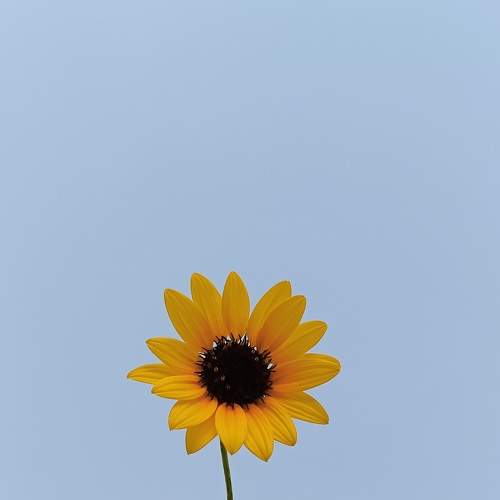Фотография #9188076