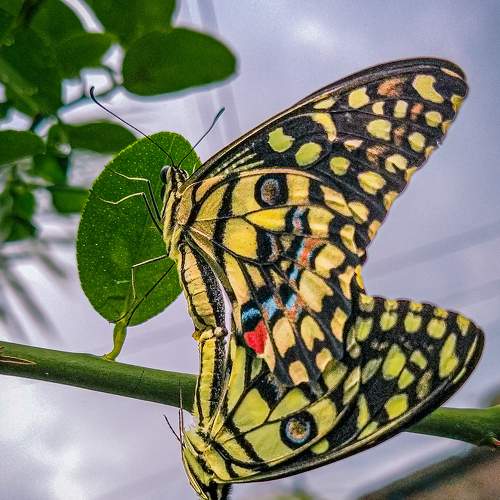 Photo #9188121