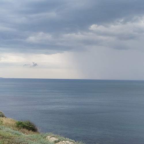 Photo #9188129