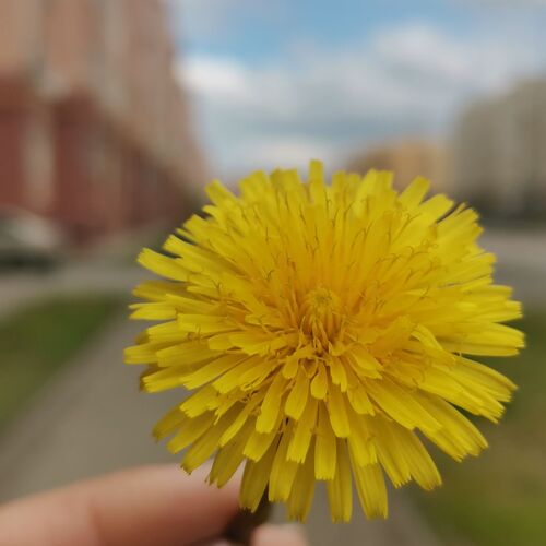 Photo #9188138