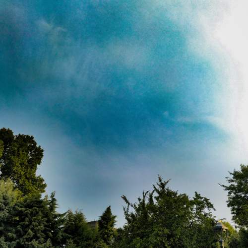 Photo #9188352