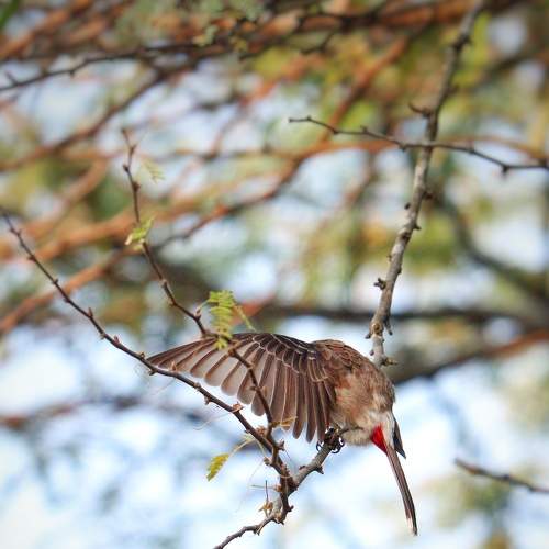 Photo #9188440