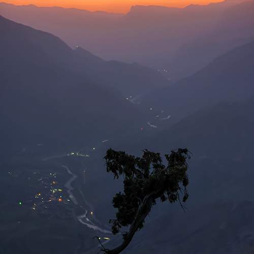 Photo #9188442