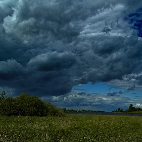 Photo #9188450