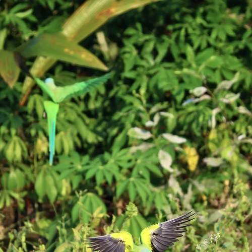 Photo #9188454