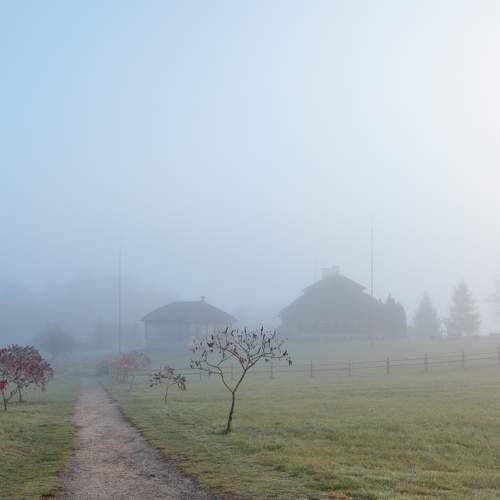 Photo #9188460