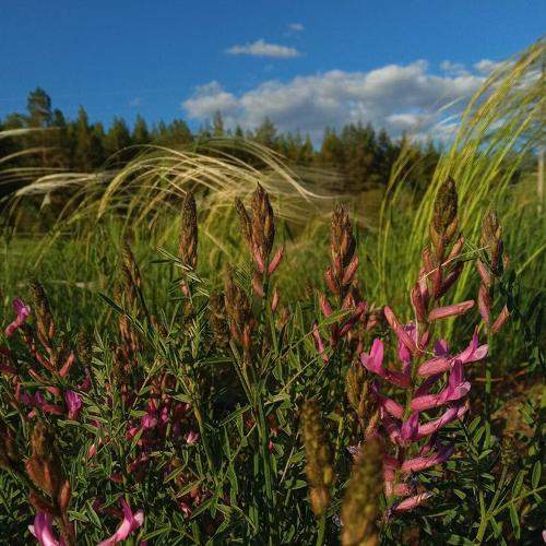 Photo #9188466