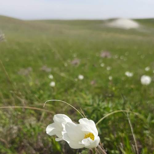 Photo #9188546