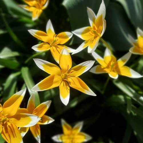 Photo #9188675