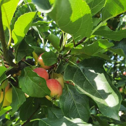 Photo #9188728