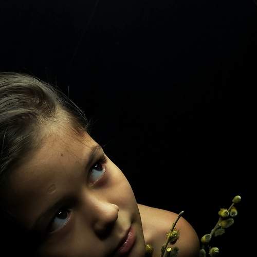 Photo #9188838