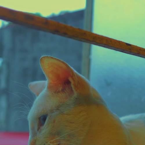 Photo #9188896