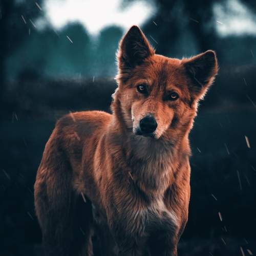 Photo #9189244